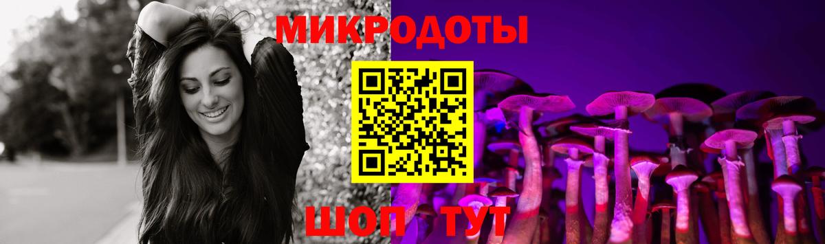 купить закладку  Галлюциногенные грибы MAGIC MUSHROOMS  Вход с VPN  Элиста 